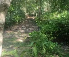 Terreno de 4,3 Hectáreas en Jhugua Hu (Central)