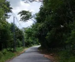 Terreno de 4,3 Hectáreas en Jhugua Hu (Central) - 6