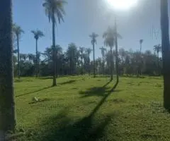 Terreno de 3,2 hectáreas en Hugua Hu (Central)