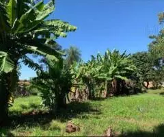 Casa de 410 m2 en un terreno de 2780 m2 en Caacupé (Cordillera) - 7