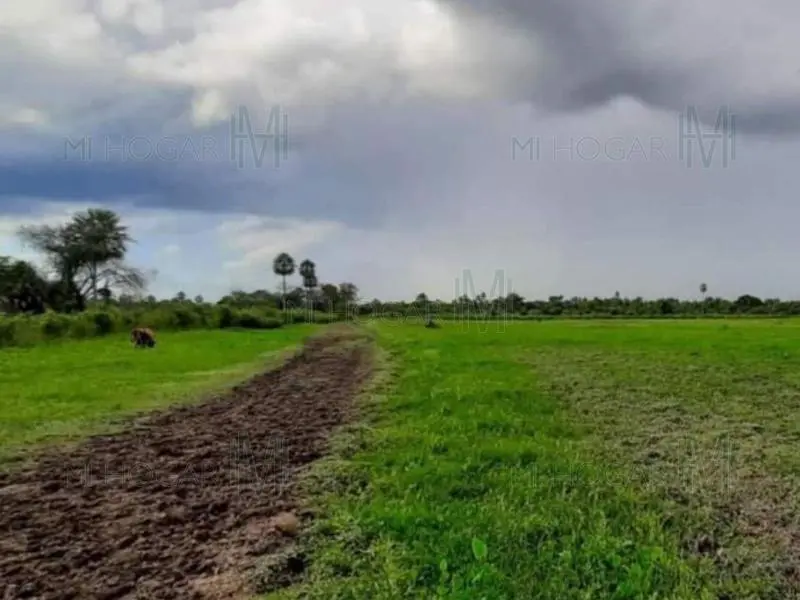 Rancho de 190 hect reas en el Chaco Presidente Hayes en venta