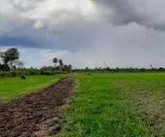 Rancho de 190 hectáreas en el Chaco (Presidente Hayes) en venta.
