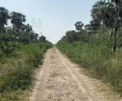 Rancho de 190 hectáreas en el Chaco (Presidente Hayes) en venta.