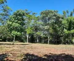 Terreno de 1 hectárea en Nueva Colombia (Cordillera) en venta