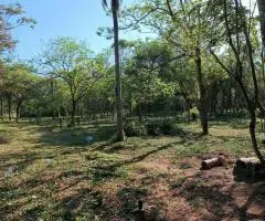 Terreno de 1 hectárea en Nueva Colombia (Cordillera) en venta