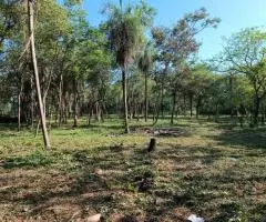 Terreno de 1 hectárea en Nueva Colombia (Cordillera) en venta