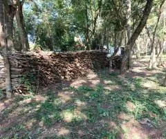 Terreno de 1 hectárea en Nueva Colombia (Cordillera) en venta - 6