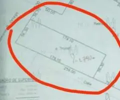 Terreno de 1 hectárea en Nueva Colombia (Cordillera) en venta - 7