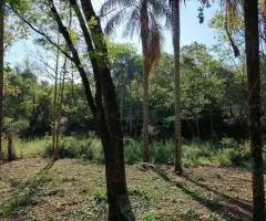 Terreno de 1 hectárea en Nueva Colombia (Cordillera) en venta - 8