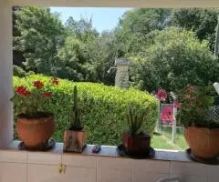 Casa amueblada de 3 habitaciones en un terreno de 1258 m2 en Caacupé (Cordillera) - 11