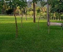 Casa de 3 dormitorios en un terreno de 0,5 hectáreas en Escobar (Paraguarí)