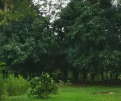 Terreno de 1875 m2 en Atyrá (Cordillera)