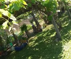 Terreno de 50 hectáreas con casa en Alto Verá (Itapúa)