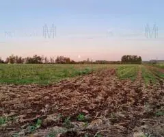 Terreno de 3,4 hectáreas en Obligado (Itapúa)