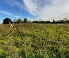 Terrenos de 0,5 a 3 Hectáreas en Hohenau (Itapúa)