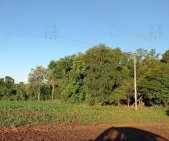 2 Parcelas de Tierra con una Superficie Total de 10 Hectáreas en Obligado (Cantera)