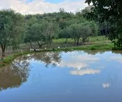 Terreno de 0,92 hectáreas en Trinidad (Itapúa)