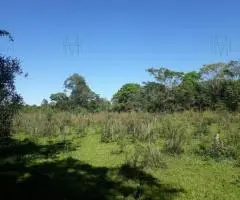 Terreno de 8 hectáreas en Nueva Alborada (Itapúa)