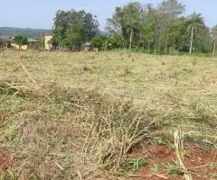 Terreno de 28,8 hectáreas a 10 km de Hohenau (Itapúa)