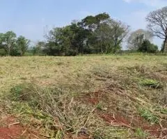 Terreno de 28,8 hectáreas a 10 km de Hohenau (Itapúa)