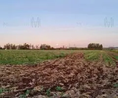 Terreno de 28,8 hectáreas a 10 km de Hohenau (Itapúa)