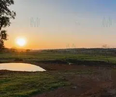 Terreno 370 m2 en Coronel Bogado (Itapúa)