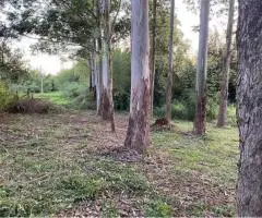 Terreno de 2000 m2 en Obligado (Itapúa)
