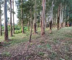 Terreno de 2000 m2 en Obligado (Itapúa)
