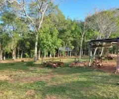 Terreno de 25 hectáreas en Trinidad (Itapúa)