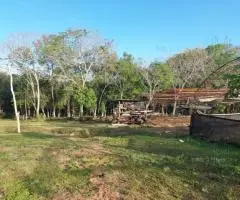 Terreno de 25 hectáreas en Trinidad (Itapúa)