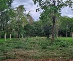 Terreno de 689 m2 en Coronel Bogado (Itapúa)