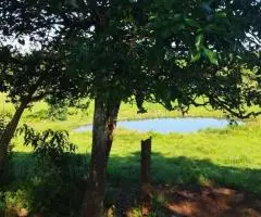 Casa de 170 m2 en un terreno de 2 hectáreas en Bella Vista (Itapúa) - 3