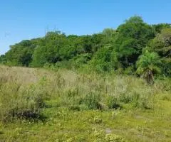 Terreno de 20 hectáreas en Escobar (Paraguarí)