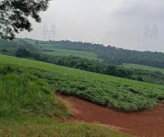 Terreno de 161 hectáreas en Edelira (Itapúa)
