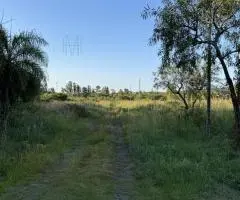Terrenos de 360m² a dos pasos de la Avenida Guillermo Naumann en San Bernardino