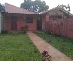 Dos casas ubicadas en el Barrio San Isidro de Encarnación.
