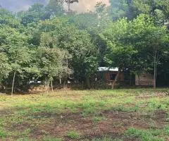 Terreno sobre asfalto isla valle aregua - 6