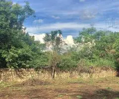 Terreno sobre asfalto isla valle aregua - 7