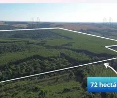 72 hectáreas ubicados en el distrito de Trinidad