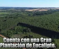 72 hectáreas ubicados en el distrito de Trinidad