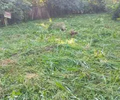 Terreno económico en VENTA!! Ubicado a tan solo 1.000 metros de la Ruta Sexta.