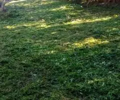 Terreno económico en VENTA!! Ubicado a tan solo 1.000 metros de la Ruta Sexta.